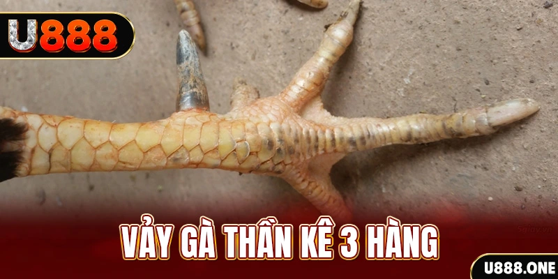 vf88 nổ hũ đổi thưởng . ai