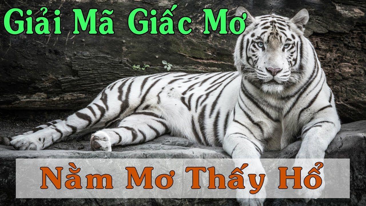 vf88 xổ số miền trung