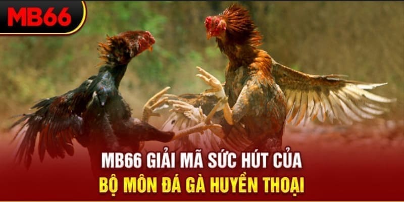 vf88 long bảo trong baccarat là gì