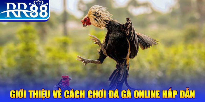 vf88 nổ hũ 2 mặt là gì