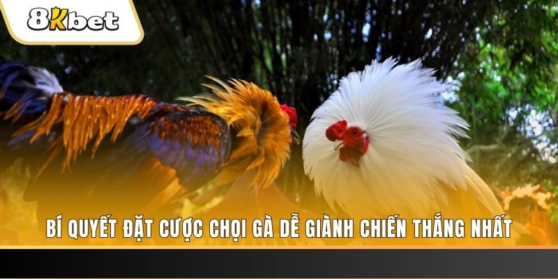 vf88 may club nổ hũ