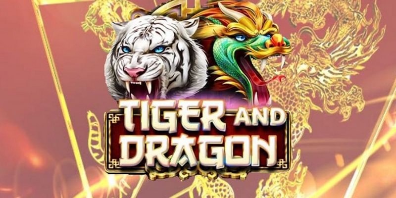 cá cược tiếng anh là gì